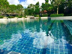 Leedon Residence (D10), Condominium #504617641